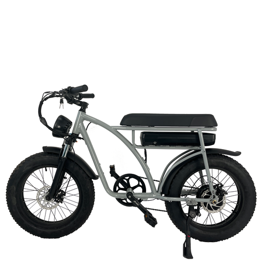 OEM ODM 48V 500W 12.5Ah Retro Electric Bike