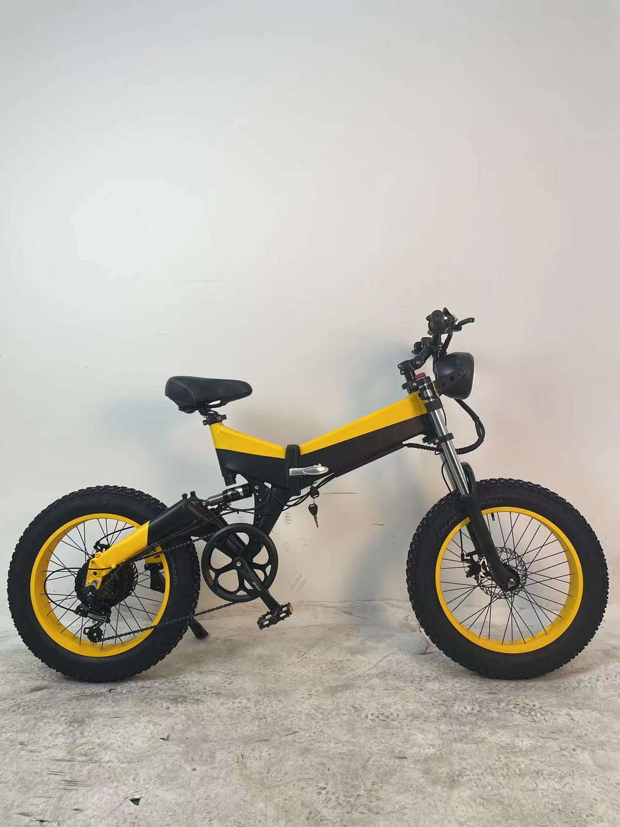 48V 750W Full Suspension Fat Tire Electric Bike Snow Leopard Bike For Adult