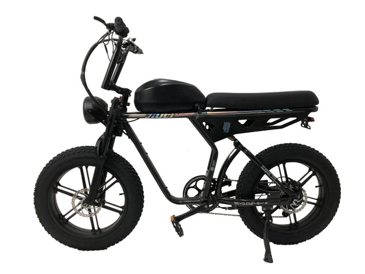 EBIKE – PASEBIKE