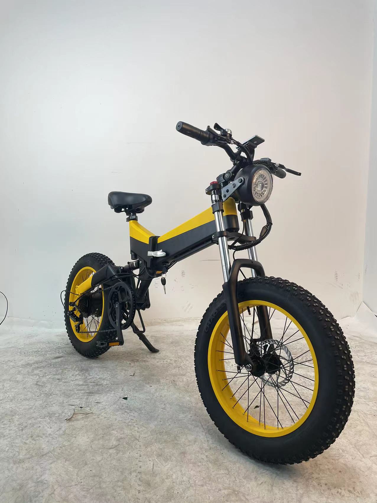 48V 750W Full Suspension Fat Tire Electric Bike Snow Leopard Bike For Adult