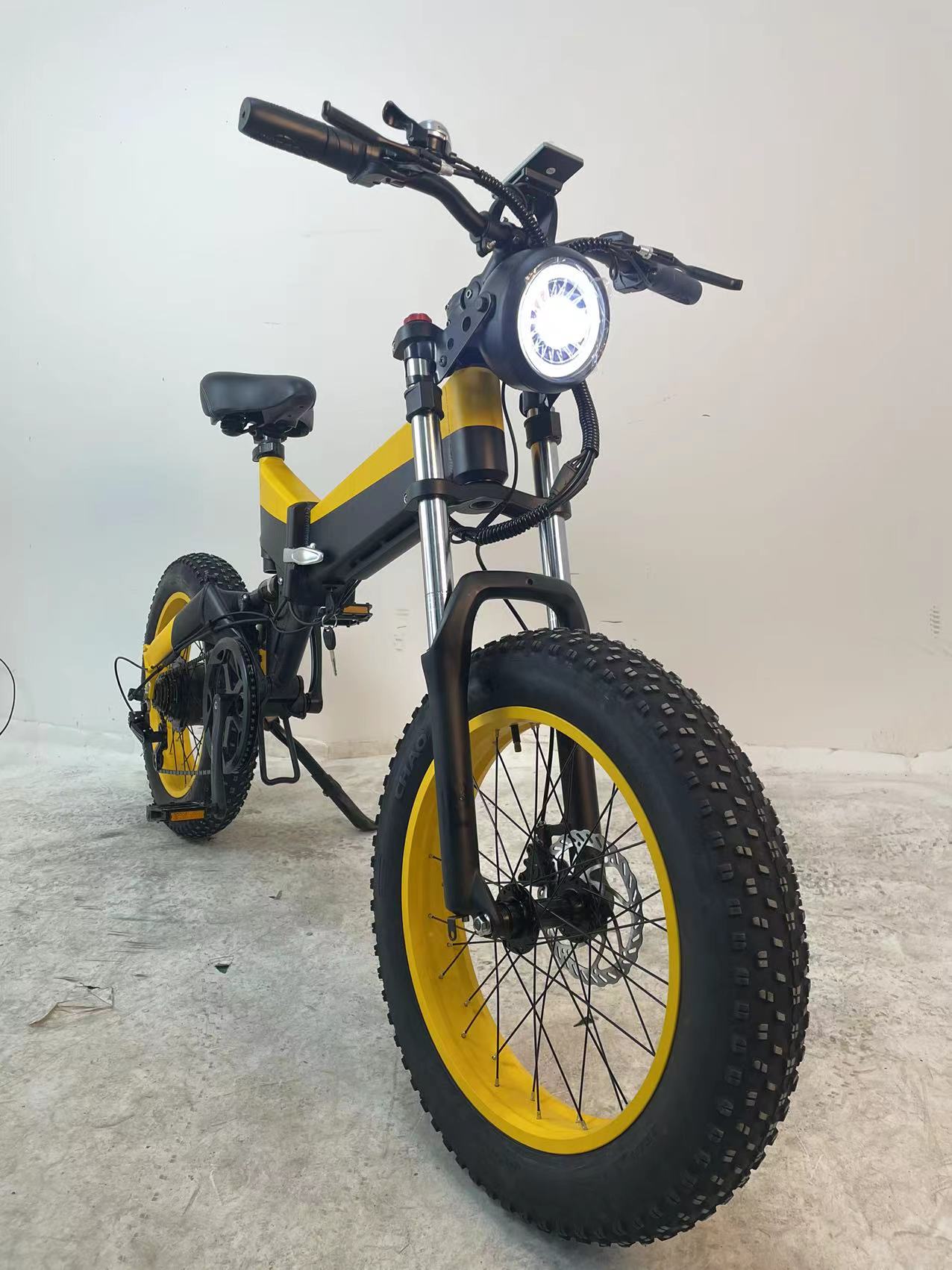 48V 750W Full Suspension Fat Tire Electric Bike Snow Leopard Bike For Adult