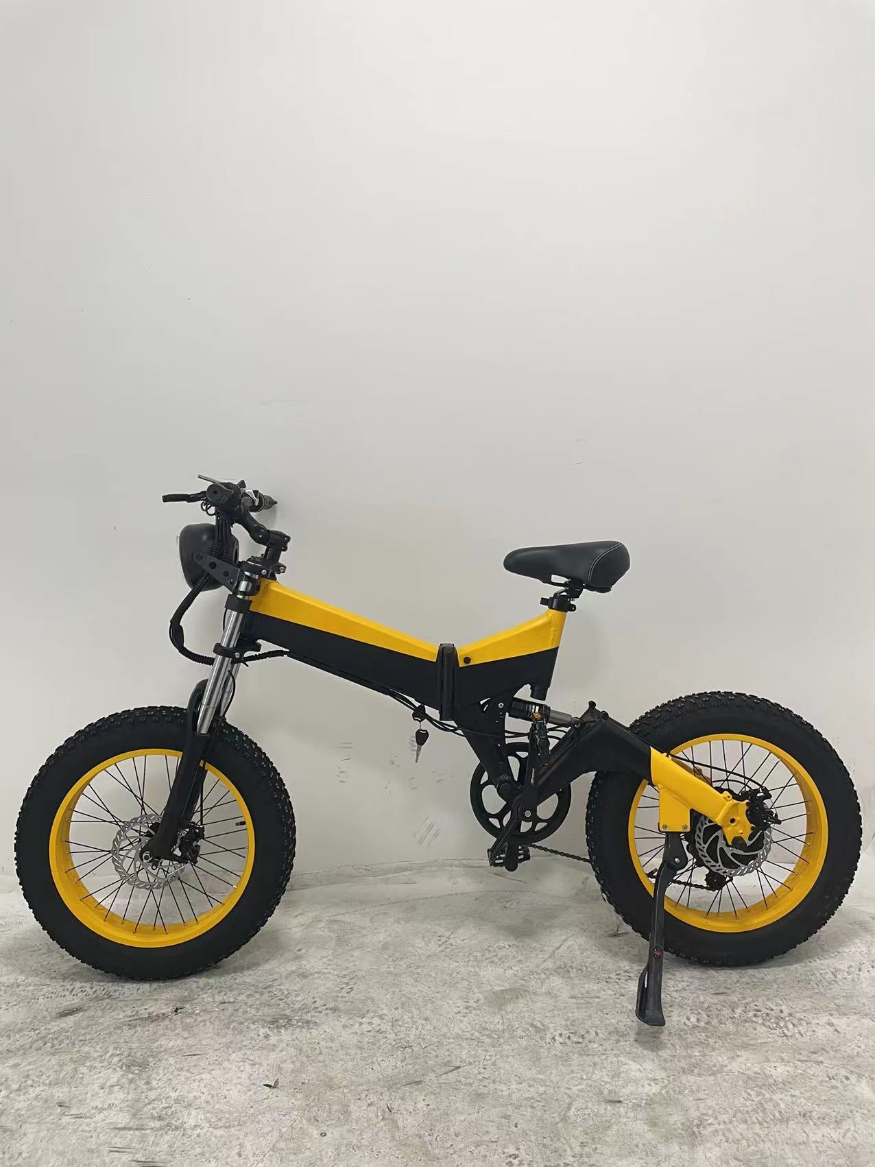 48V 750W Full Suspension Fat Tire Electric Bike Snow Leopard Bike For Adult