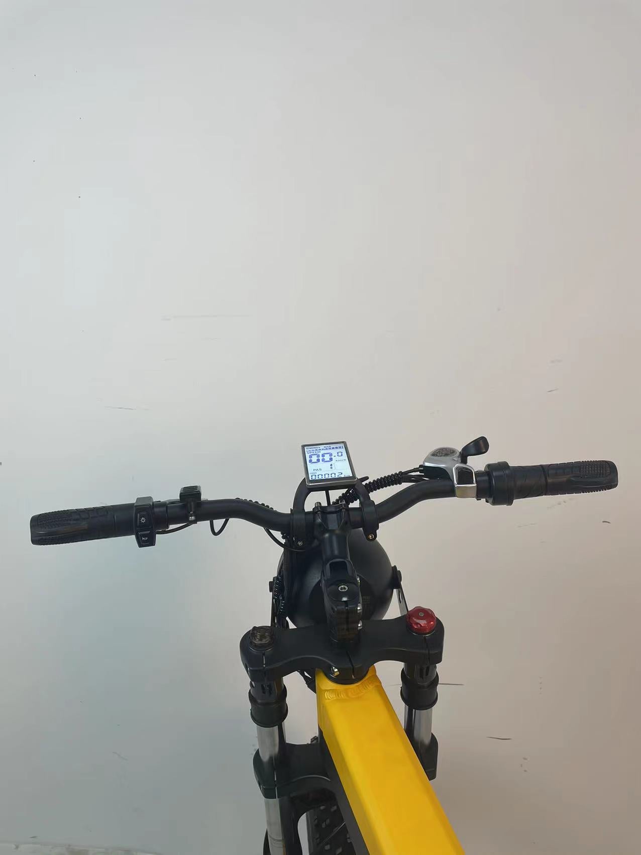 48V 750W Full Suspension Fat Tire Electric Bike Snow Leopard Bike For Adult