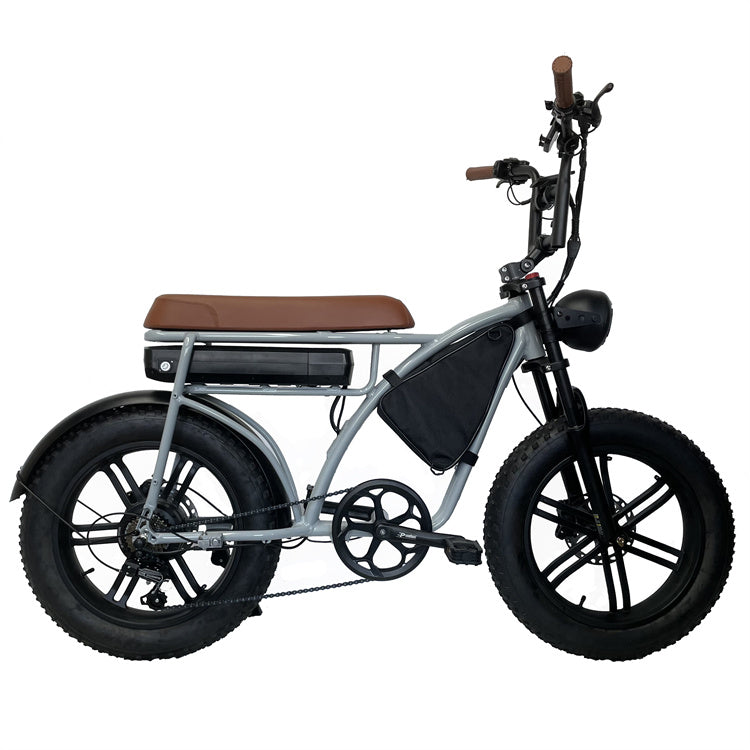 High Power 20 Inch 48V Fat Ebike For Adult Two Seat Electric Bike 1000W