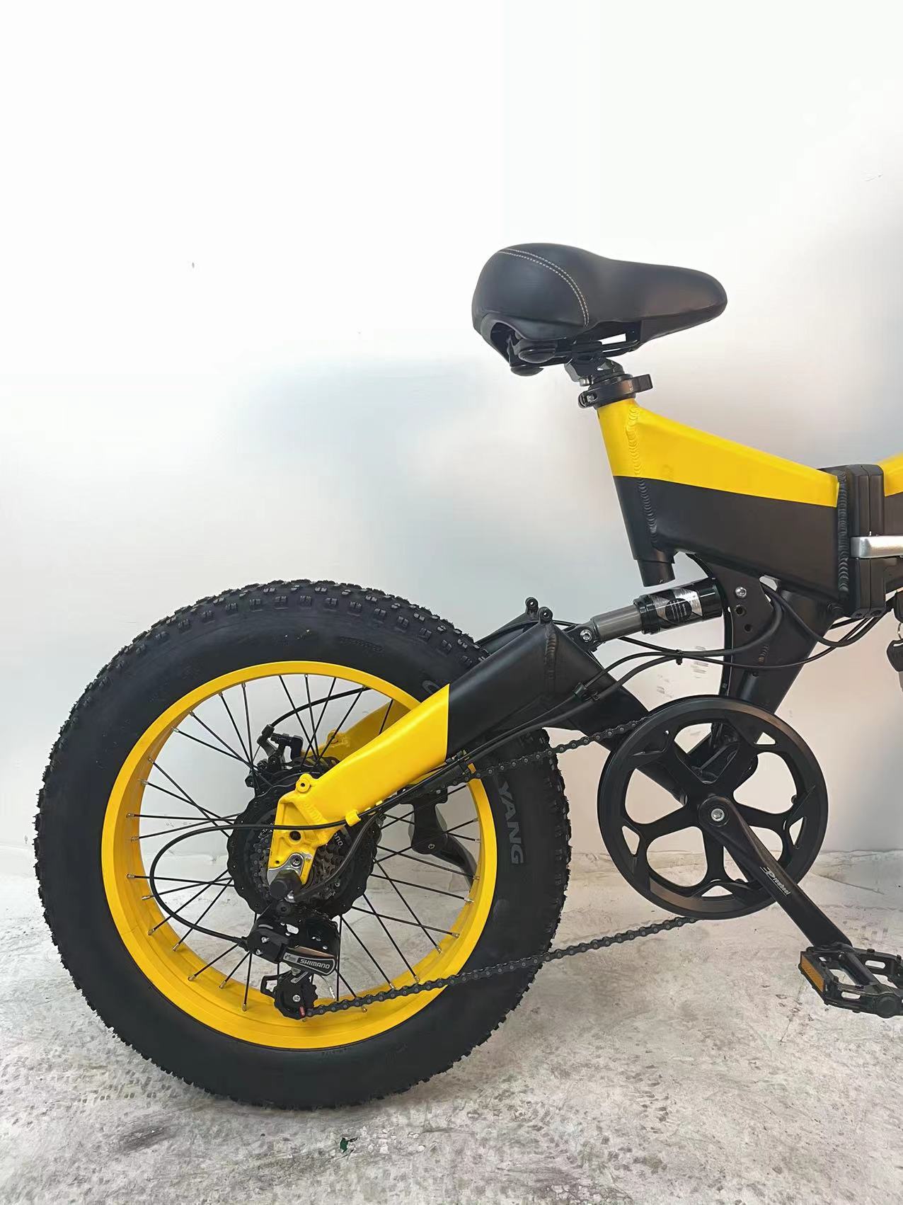 48V 750W Full Suspension Fat Tire Electric Bike Snow Leopard Bike For Adult