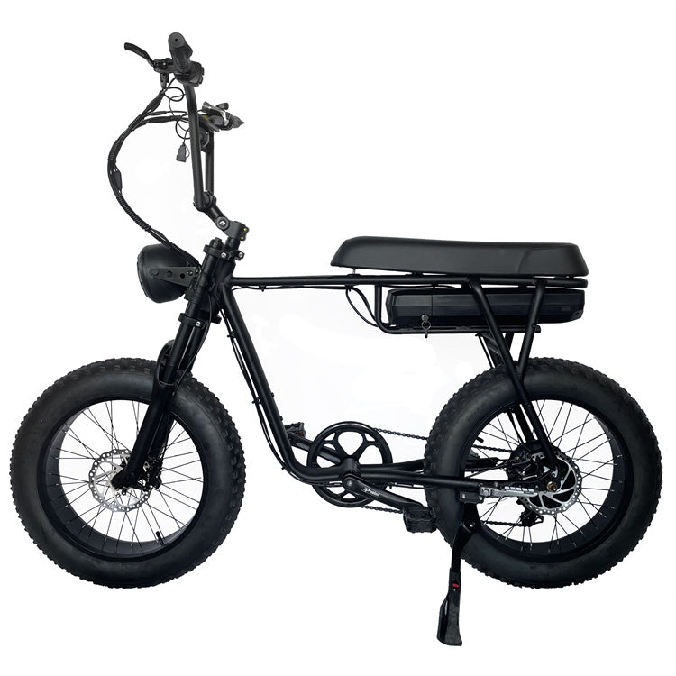 Hot selling Super 73 model e-bike with two seaters