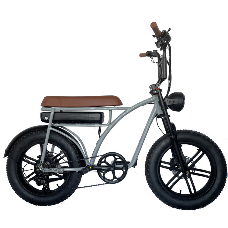 High Power 20 Inch 48V Fat Ebike For Adult Two Seat Electric Bike 1000W